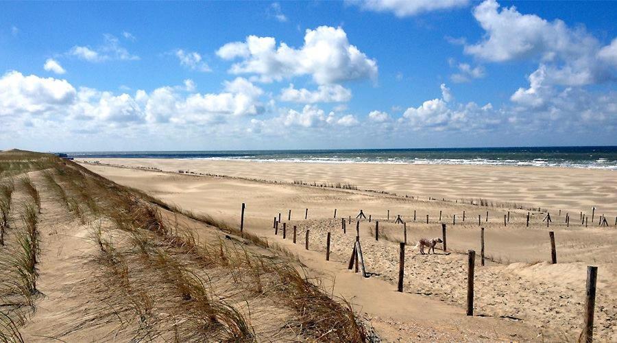 بيتين Beach Chalet Tranquilo المظهر الخارجي الصورة